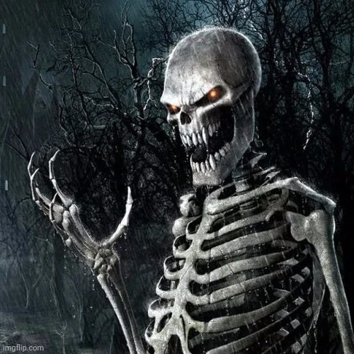 Skeleton good quality | image tagged in skeleton good quality | made w/ Imgflip meme maker