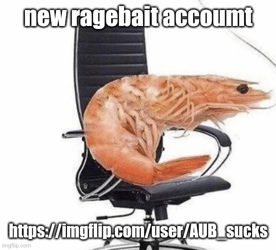 https://imgflip.com/user/AUB_sucks | new ragebait accoumt; https://imgflip.com/user/AUB_sucks | image tagged in shrimp | made w/ Imgflip meme maker