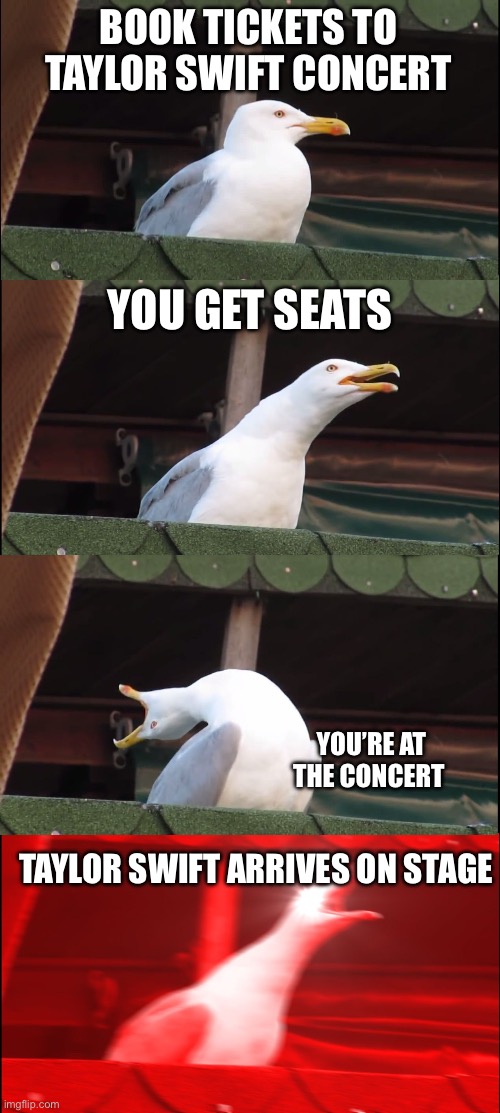 This seagull’s a swiftie | BOOK TICKETS TO TAYLOR SWIFT CONCERT; YOU GET SEATS; YOU’RE AT THE CONCERT; TAYLOR SWIFT ARRIVES ON STAGE | image tagged in memes,inhaling seagull | made w/ Imgflip meme maker