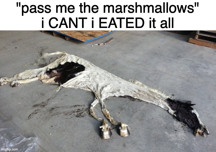 Deflated horse | "pass me the marshmallows"
i CANT i EATED it all | image tagged in deflated horse | made w/ Imgflip meme maker