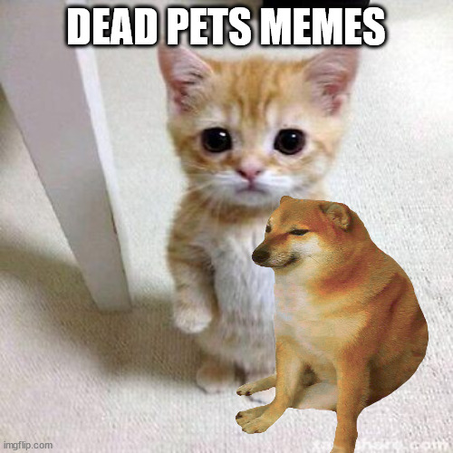 DEAD PETS MEMES | image tagged in doge,buff doge vs cheems,cats,el gato,memes | made w/ Imgflip meme maker