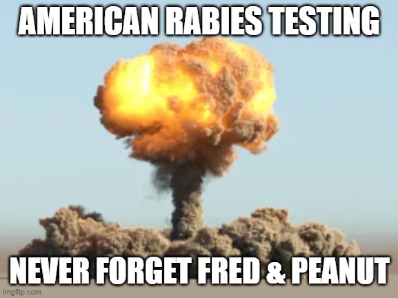 nuke peanut fred rabies nuclear | AMERICAN RABIES TESTING; NEVER FORGET FRED & PEANUT | image tagged in peanut,fred,nuclear explosion | made w/ Imgflip meme maker