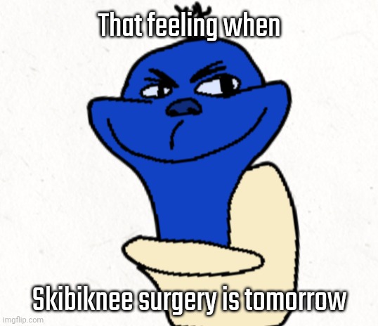 That feeling when; Skibiknee surgery is tomorrow | made w/ Imgflip meme maker