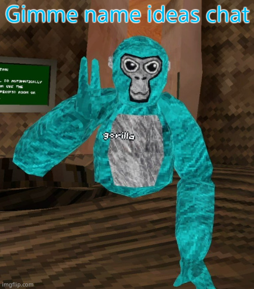 Monkey | Gimme name ideas chat | image tagged in monkey | made w/ Imgflip meme maker