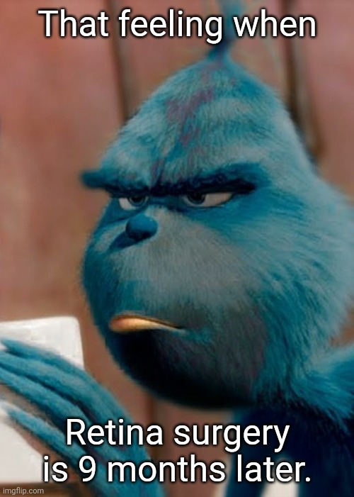 Sad blue grinch | That feeling when; Retina surgery is 9 months later. | image tagged in sad blue grinch,surgery,retina,memes,msmg | made w/ Imgflip meme maker