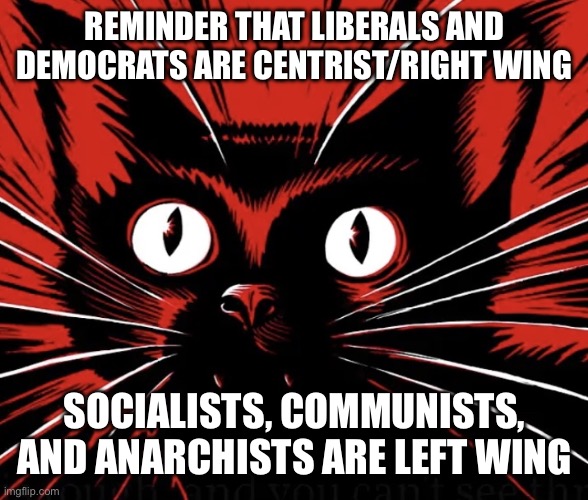 Know the difference | REMINDER THAT LIBERALS AND DEMOCRATS ARE CENTRIST/RIGHT WING; SOCIALISTS, COMMUNISTS, AND ANARCHISTS ARE LEFT WING | image tagged in sabo tabby cat | made w/ Imgflip meme maker