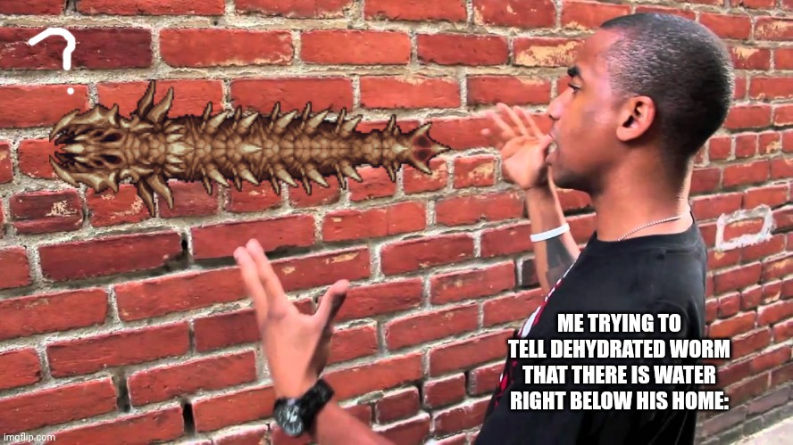 Deset scorge is dumb | ME TRYING TO TELL DEHYDRATED WORM THAT THERE IS WATER RIGHT BELOW HIS HOME: | image tagged in talking to wall,terraria | made w/ Imgflip meme maker