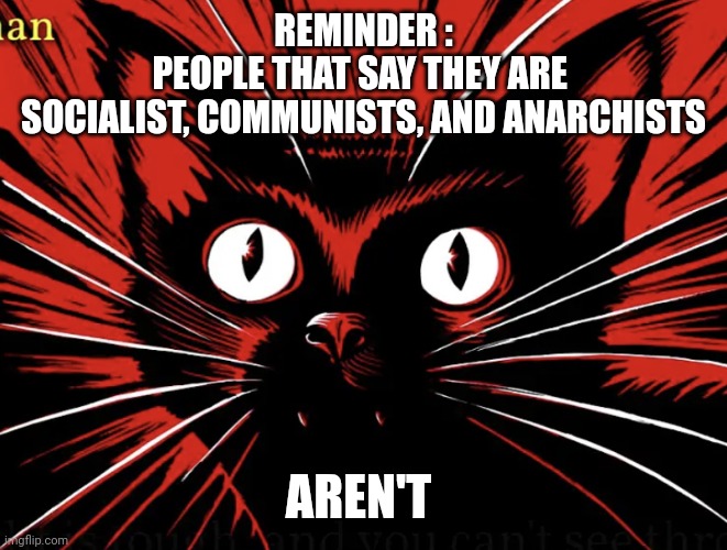 Sabo tabby | REMINDER :
PEOPLE THAT SAY THEY ARE 
SOCIALIST, COMMUNISTS, AND ANARCHISTS AREN'T | image tagged in sabo tabby | made w/ Imgflip meme maker