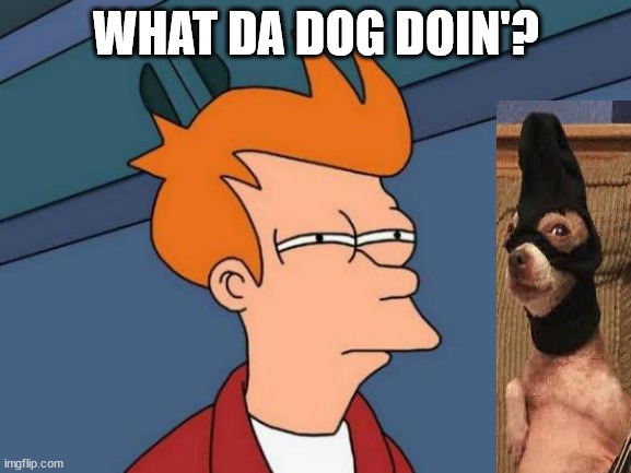 what da dog doin | WHAT DA DOG DOIN'? | image tagged in memes,futurama fry,doge,dogs,what the dog doin | made w/ Imgflip meme maker