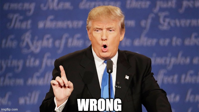 Donald Trump Wrong | WRONG | image tagged in donald trump wrong | made w/ Imgflip meme maker