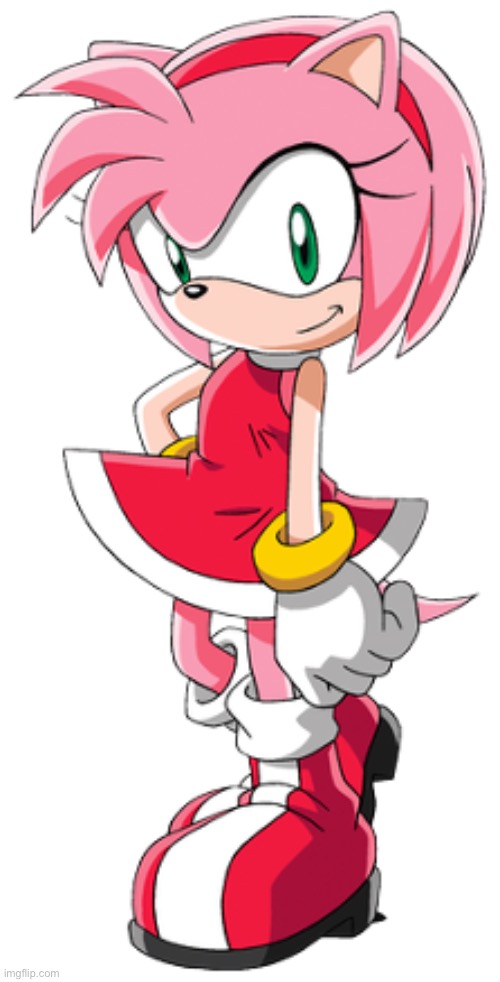 Amy Rose | image tagged in amy rose | made w/ Imgflip meme maker