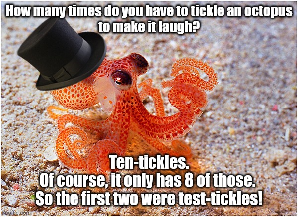 October Tickles | How many times do you have to tickle an octopus
to make it laugh? Ten-tickles.

Of course, it only has 8 of those. 
So the first two were test-tickles! | image tagged in sir octopus,octopus,funny,lol,fyp | made w/ Imgflip meme maker