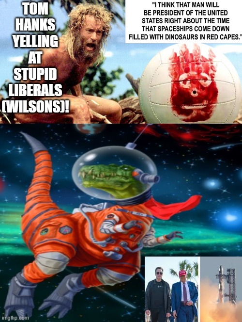 Tom Hanks yelling at Wilson's (Liberals) | TOM HANKS YELLING AT STUPID LIBERALS (WILSONS)! | image tagged in sam elliott special kind of stupid | made w/ Imgflip meme maker