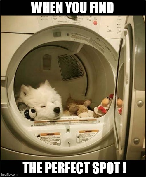 All Nice And Warm ! | WHEN YOU FIND; THE PERFECT SPOT ! | image tagged in dogs,washing machine,perfect spot | made w/ Imgflip meme maker