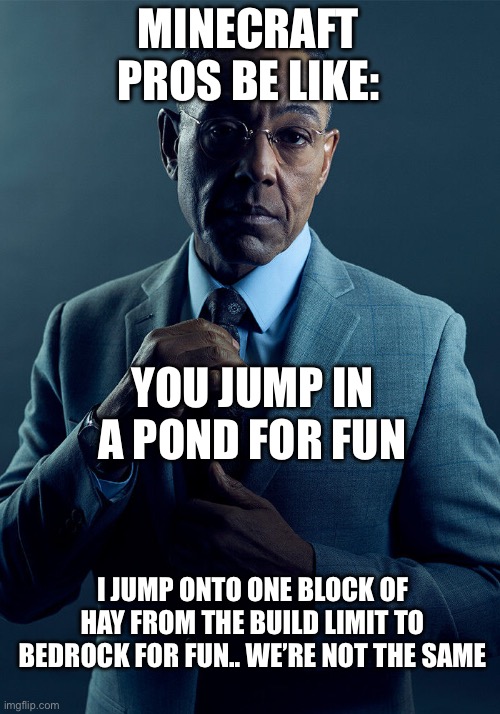 Dream?: | MINECRAFT PROS BE LIKE:; YOU JUMP IN A POND FOR FUN; I JUMP ONTO ONE BLOCK OF HAY FROM THE BUILD LIMIT TO BEDROCK FOR FUN.. WE’RE NOT THE SAME | image tagged in gus fring we are not the same | made w/ Imgflip meme maker