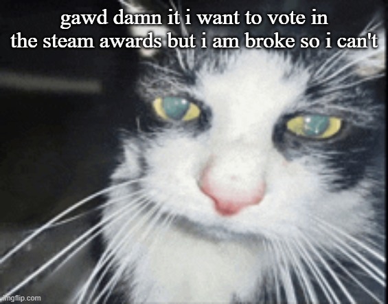 i understand why they did that but it means i cant nominate sxsg :( | gawd damn it i want to vote in the steam awards but i am broke so i can't | image tagged in high cat | made w/ Imgflip meme maker