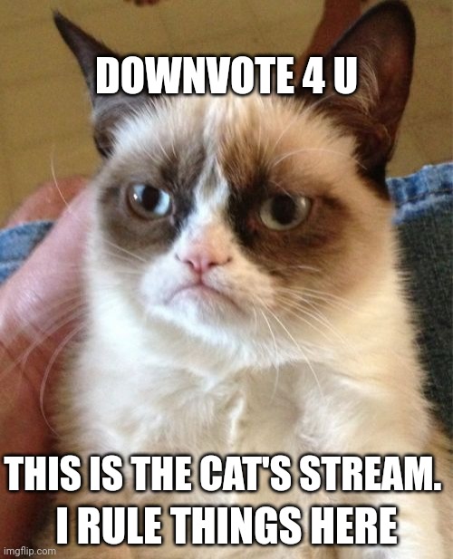 Grumpy Cat Meme | DOWNVOTE 4 U THIS IS THE CAT'S STREAM. I RULE THINGS HERE | image tagged in memes,grumpy cat | made w/ Imgflip meme maker