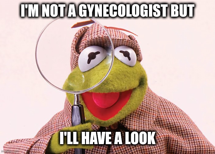 KermitRocks | I'M NOT A GYNECOLOGIST BUT; I'LL HAVE A LOOK | image tagged in memes | made w/ Imgflip meme maker