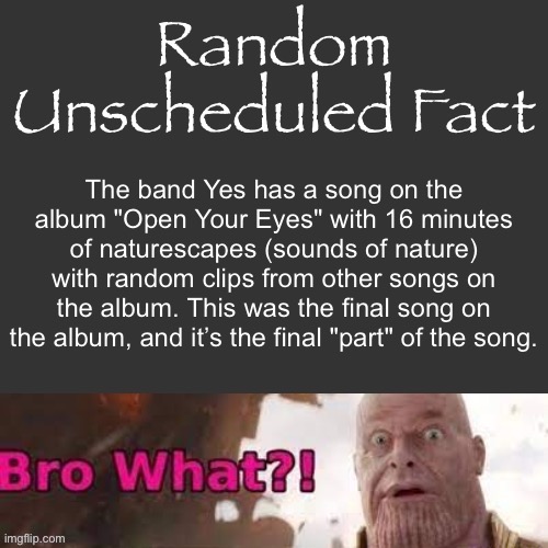 Random Unscheduled Fact | The band Yes has a song on the album "Open Your Eyes" with 16 minutes of naturescapes (sounds of nature) with random clips from other songs on the album. This was the final song on the album, and it’s the final "part" of the song. | image tagged in random unscheduled fact | made w/ Imgflip meme maker