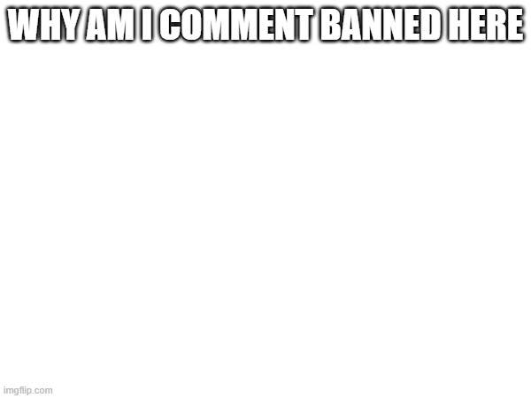 Blank template XD | WHY AM I COMMENT BANNED HERE | image tagged in blank white template | made w/ Imgflip meme maker