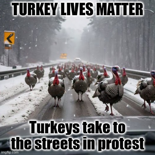 The only ones today that have a reason to protest Thanksgiving. | TURKEY LIVES MATTER; Turkeys take to the streets in protest | image tagged in democrat voters,celebrate,thanksgiving,happy thanksgiving | made w/ Imgflip meme maker