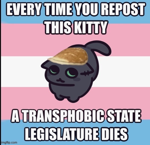 :) | image tagged in trans | made w/ Imgflip meme maker