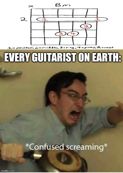 Heaven help us | EVERY GUITARIST ON EARTH: | image tagged in confused screaming,music,guitar | made w/ Imgflip meme maker