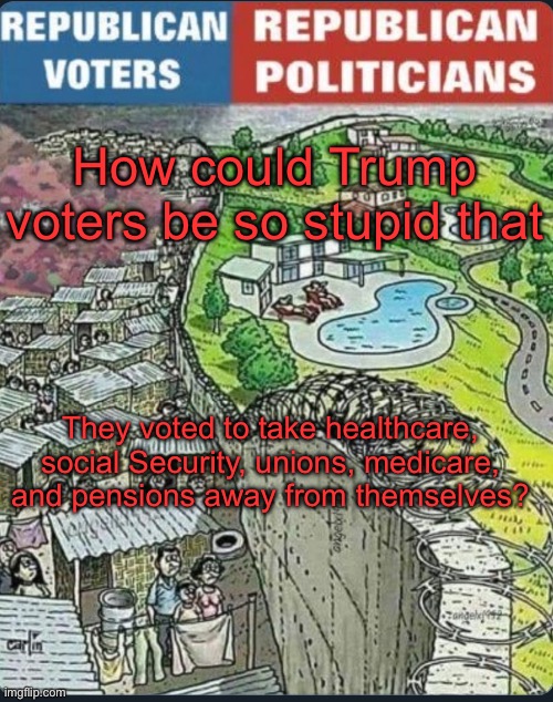 Maga voted to make maga even poorer | How could Trump voters be so stupid that; They voted to take healthcare, Social Security, unions, Medicare, and pensions away from themselves? | image tagged in the incredible stupidity of maga | made w/ Imgflip meme maker