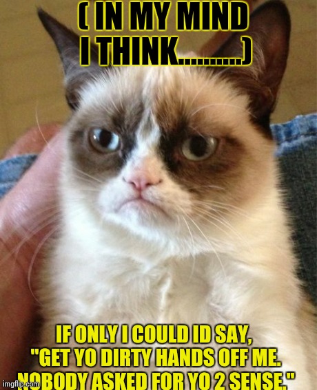 Grumpy Cat Meme | ( IN MY MIND I THINK..........) IF ONLY I COULD ID SAY, ''GET YO DIRTY HANDS OFF ME. NOBODY ASKED FOR YO 2 SENSE.'' | image tagged in memes,grumpy cat | made w/ Imgflip meme maker