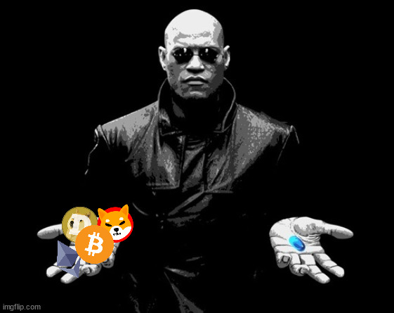 morpheus matrix blue pill red pill | image tagged in morpheus matrix blue pill red pill,shib,doge,trump,crypto | made w/ Imgflip meme maker