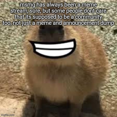 goofy ass capybara | msmg has always been a meme stream, sure, but some people dont care that its supposed to be a community too, not just a meme and announcement dump | image tagged in goofy ass capybara | made w/ Imgflip meme maker