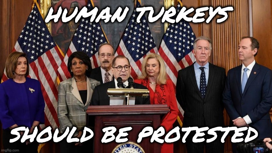 House Democrats | HUMAN TURKEYS SHOULD BE PROTESTED | image tagged in house democrats | made w/ Imgflip meme maker