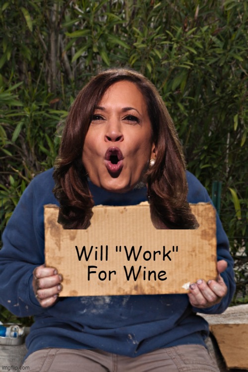 Good Riddance | Will "Work"
For Wine | image tagged in kamala work for wine meme | made w/ Imgflip meme maker