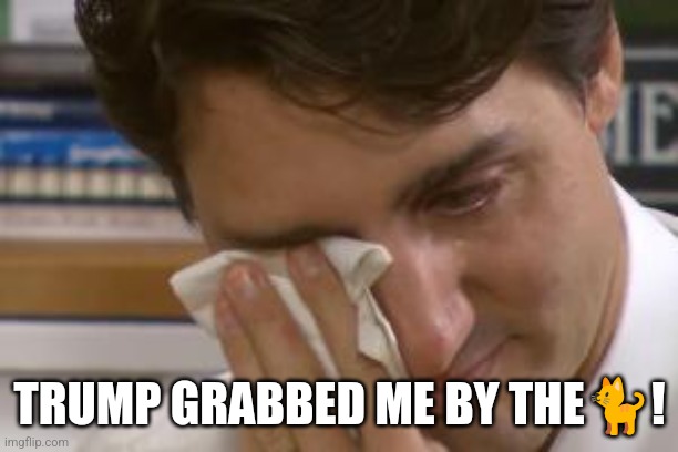 trudeau crying | TRUMP GRABBED ME BY THE?! | image tagged in trudeau crying | made w/ Imgflip meme maker