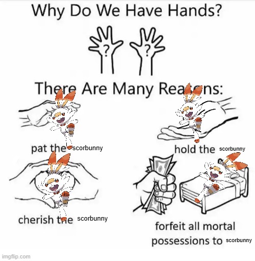 Why do we have hands? (all blank) | scorbunny; scorbunny; scorbunny; scorbunny | image tagged in why do we have hands all blank | made w/ Imgflip meme maker