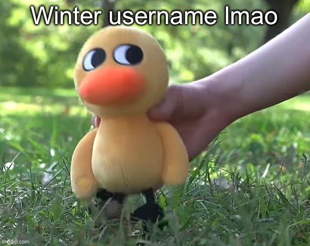 duck song plushie | Winter username lmao | image tagged in duck song plushie | made w/ Imgflip meme maker