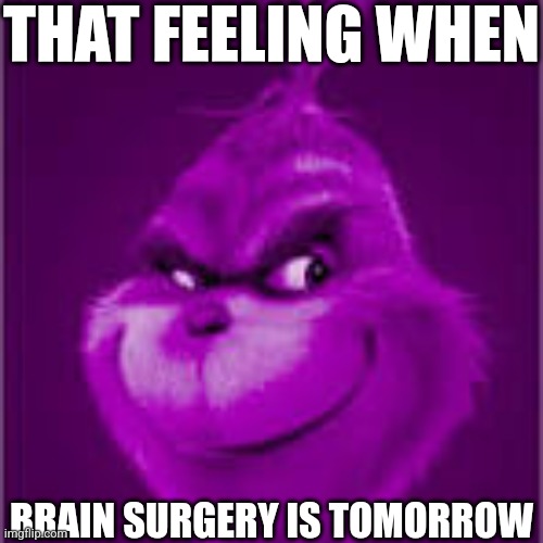 purple grinch | THAT FEELING WHEN; BRAIN SURGERY IS TOMORROW | image tagged in purple grinch | made w/ Imgflip meme maker