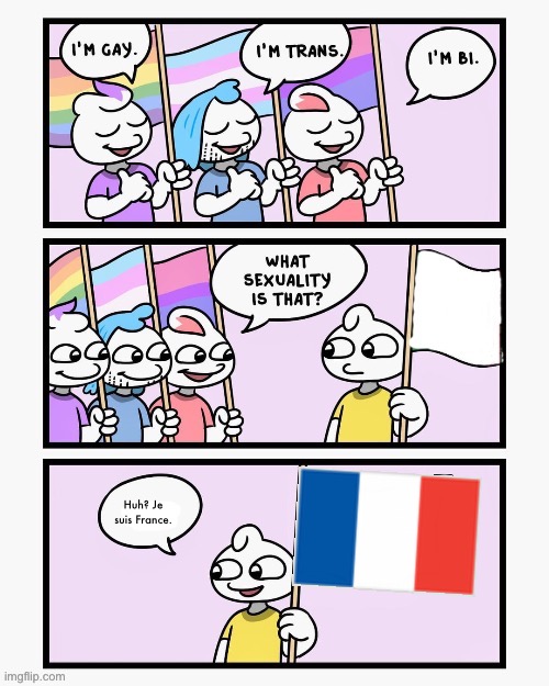 What Sexuality Is That? | Huh? Je suis France. | image tagged in what sexuality is that | made w/ Imgflip meme maker