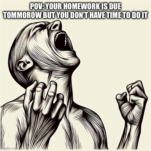 Person screaming | POV: YOUR HOMEWORK IS DUE TOMMOROW BUT YOU DON’T HAVE TIME TO DO IT | image tagged in person screaming,fun,funny,meme,homework | made w/ Imgflip meme maker