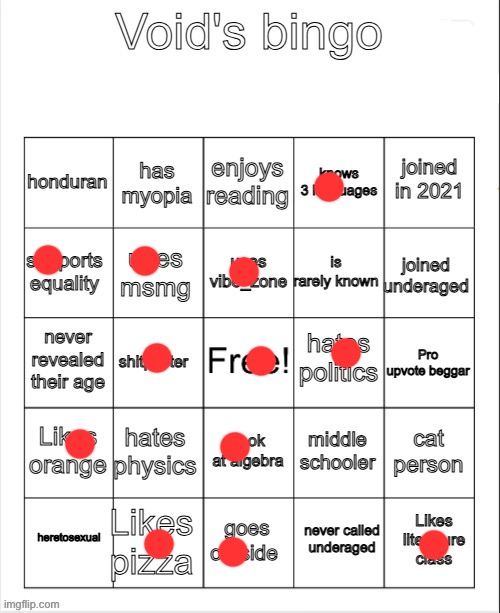 Void's bingo | image tagged in void's bingo | made w/ Imgflip meme maker