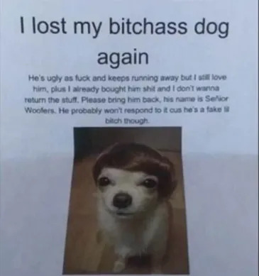 I lost my bitchass dog again Blank Meme Template