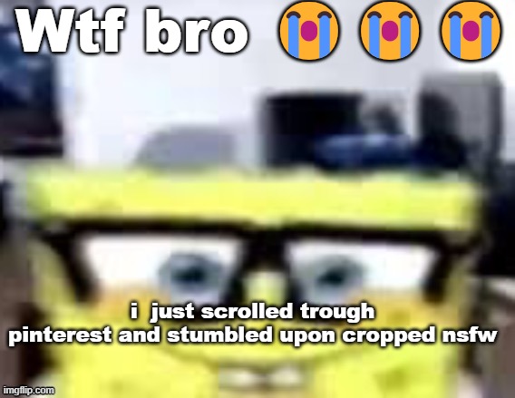 Ronnie Mcsponge | Wtf bro 😭😭😭; i  just scrolled trough pinterest and stumbled upon cropped nsfw | image tagged in ronnie mcsponge | made w/ Imgflip meme maker