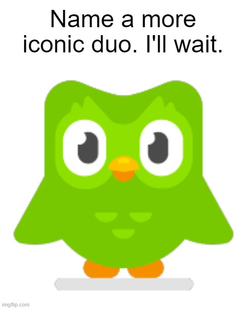 Name a more iconic duo. I'll wait. | image tagged in duolingo | made w/ Imgflip meme maker