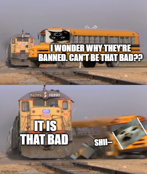 Banned Users | I WONDER WHY THEY'RE BANNED. CAN'T BE THAT BAD?? IT IS THAT BAD; SHII-- | image tagged in a train hitting a school bus | made w/ Imgflip meme maker