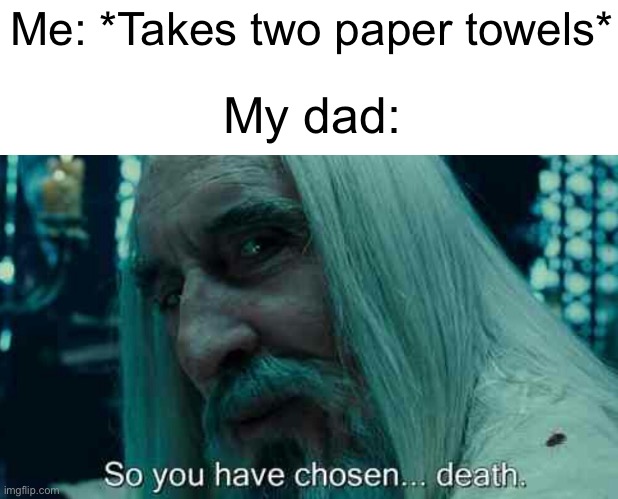 *belt crack* “THIS IS A WASTE OF MONEY!” | Me: *Takes two paper towels*; My dad: | image tagged in so you have chosen death,toilet paper,ha ha tags go brr | made w/ Imgflip meme maker