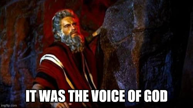 My birds' reaction whenever they hear me calling over their nanny cam | IT WAS THE VOICE OF GOD | image tagged in birds,pet owners,birbs,moses,ten commandments movie,charlton heston | made w/ Imgflip meme maker