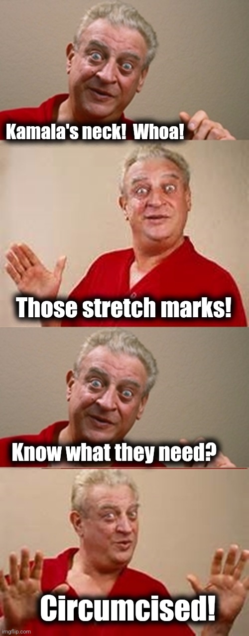 Fix that sh!t | Kamala's neck!  Whoa! Those stretch marks! Know what they need? Circumcised! | image tagged in bad pun rodney dangerfield,memes,kamala harris,stretch marks,democrats,neck | made w/ Imgflip meme maker