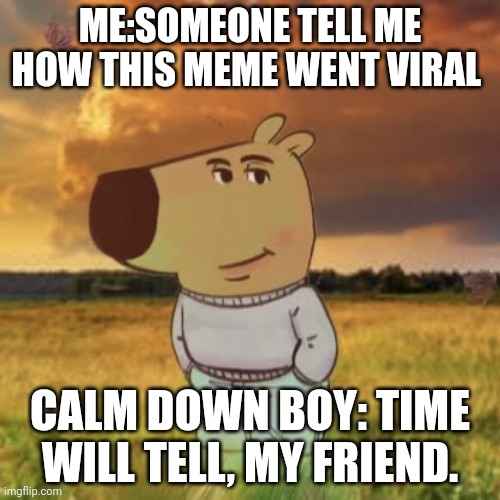 Someone tell me | ME:SOMEONE TELL ME HOW THIS MEME WENT VIRAL; CALM DOWN BOY: TIME WILL TELL, MY FRIEND. | image tagged in chill guy | made w/ Imgflip meme maker