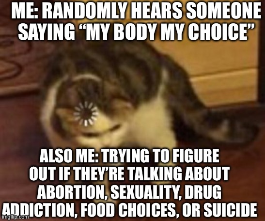 Loading cat | ME: RANDOMLY HEARS SOMEONE SAYING “MY BODY MY CHOICE”; ALSO ME: TRYING TO FIGURE OUT IF THEY’RE TALKING ABOUT ABORTION, SEXUALITY, DRUG ADDICTION, FOOD CHOICES, OR SUICIDE | image tagged in loading cat | made w/ Imgflip meme maker