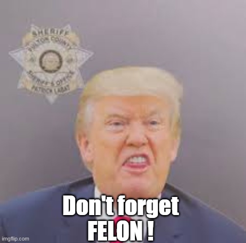 Don't forget
FELON ! | made w/ Imgflip meme maker